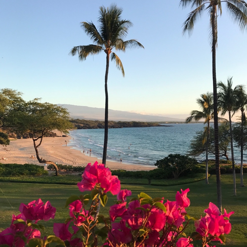 Meet your Posher, Michele